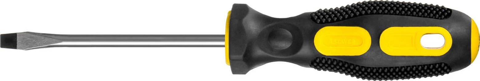 STAYER SL6х100 мм, отвертка 2509-06-10_z02